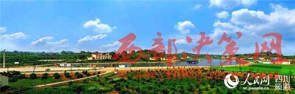 1497863300373515.jpg 1.jpg