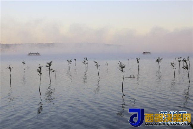 1509411382132124.jpg 5.jpg