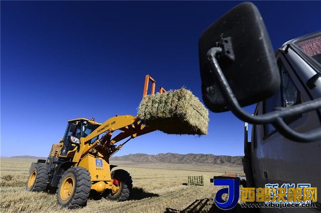 1510104317164381.jpg 3.jpg