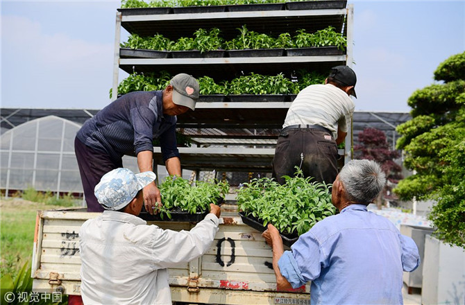 數(shù)字經(jīng)濟已經(jīng)成為我國經(jīng)濟社會更好發(fā)展的重要推動力，也為我國鄉(xiāng)村發(fā)展提供了新的歷史機遇。（圖片來源：視覺中國）