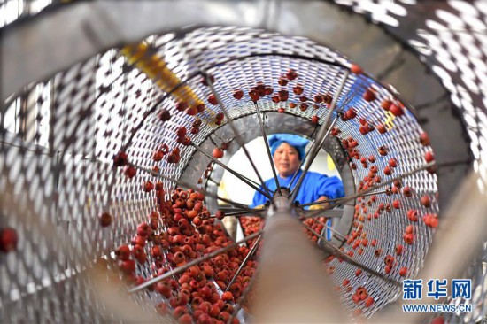 #(經(jīng)濟(jì))(2)山東沂源:家門口就業(yè)助力脫貧增收