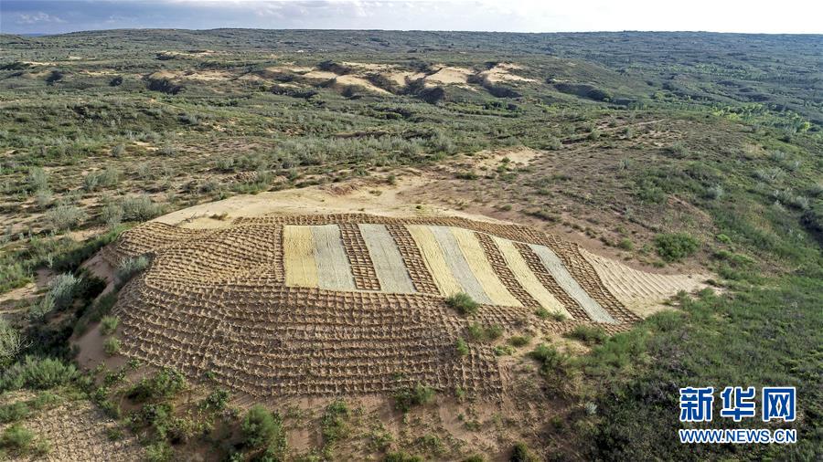 （壯麗70年·奮斗新時代——共和國發(fā)展成就巡禮·圖文互動）（6）生態(tài)美、百姓富——品讀嶄新“寧夏畫卷”