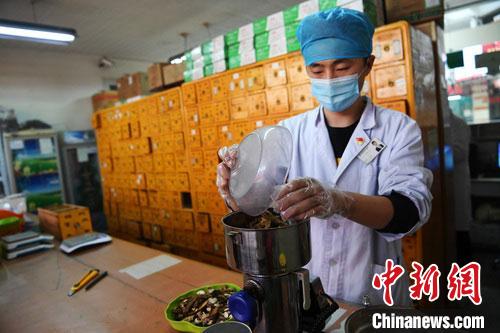 疫情發(fā)生以來，甘肅確保所有病例盡早、及時、全程使用中醫(yī)中藥，努力做到“一患一方案”。(資料圖) 楊艷敏 攝