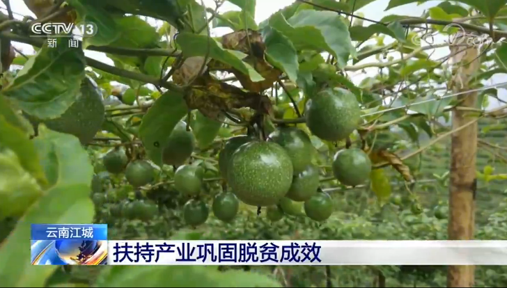 點擊進入下一頁