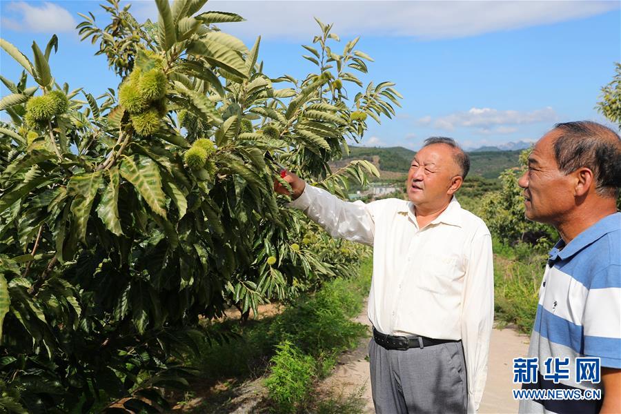 （新華全媒頭條·走向我們的小康生活·圖文互動）（11）長城腳下，小康村串成“珍珠鏈”