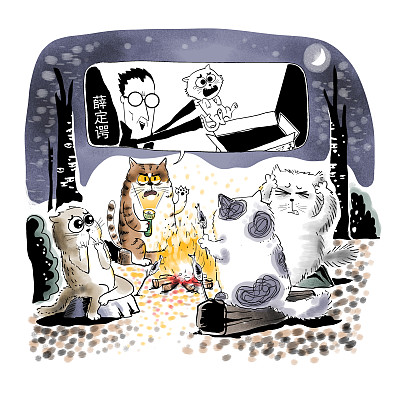 ▲物理學(xué)家薛定諤曾用一只貓比喻量子疊加。圖片來(lái)源：視覺(jué)中國(guó)