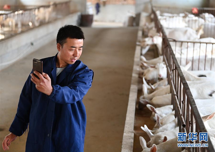 （新華全媒頭條·五中全會(huì)精神在基層·圖文互動(dòng)）（12）奮發(fā)新青年　逐夢新征程——各地青年學(xué)習(xí)貫徹落實(shí)五中全會(huì)精神觀察