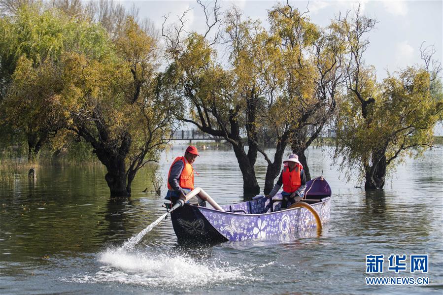 （新華全媒頭條·五中全會(huì)精神在基層·圖文互動(dòng)）（9）奮發(fā)新青年　逐夢新征程——各地青年學(xué)習(xí)貫徹落實(shí)五中全會(huì)精神觀察